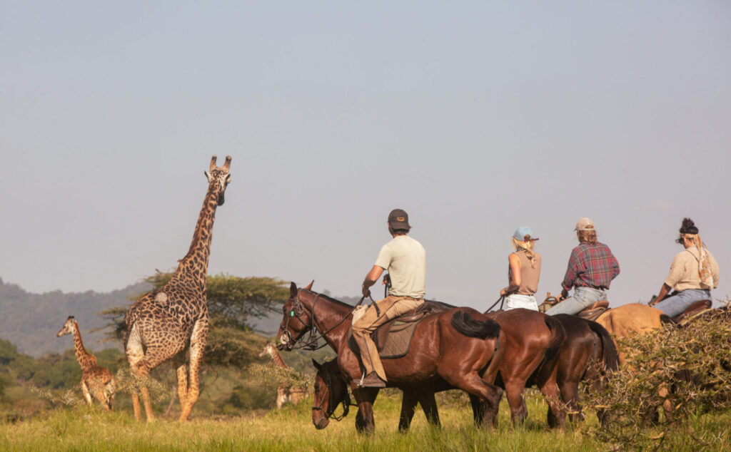 Tanzania Horseback Safaris