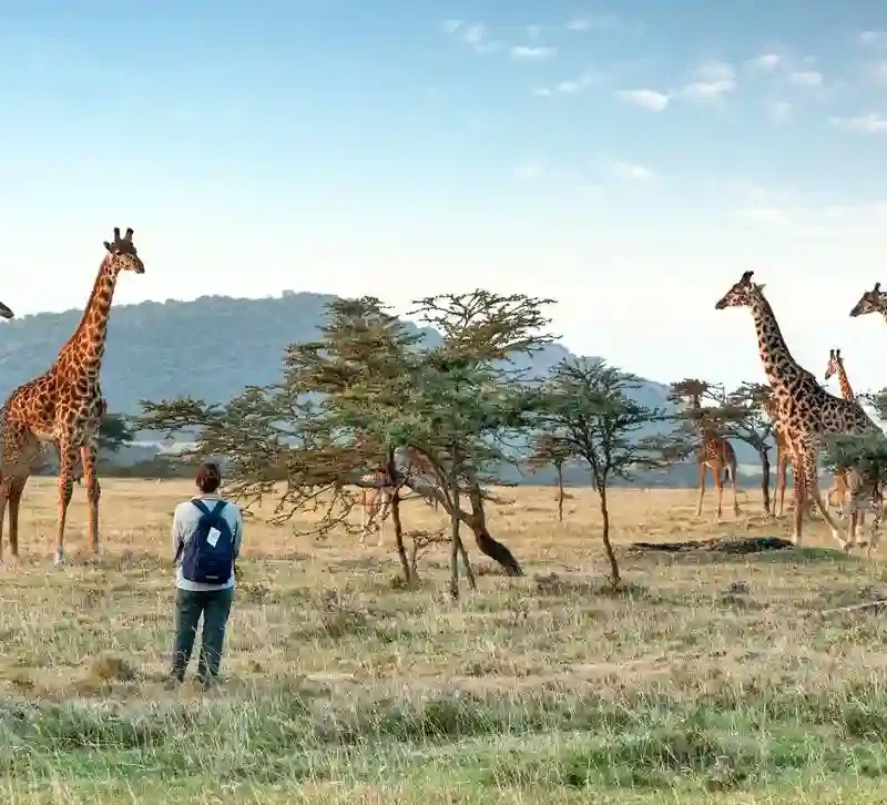 Tanzania Walking Safaris