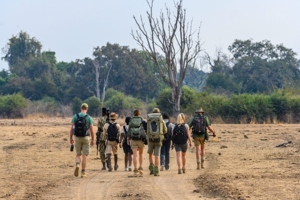 Top 5 Places to Visit