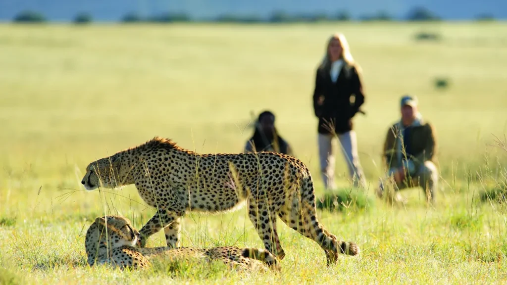 Top 5 Walking Safari Experiences