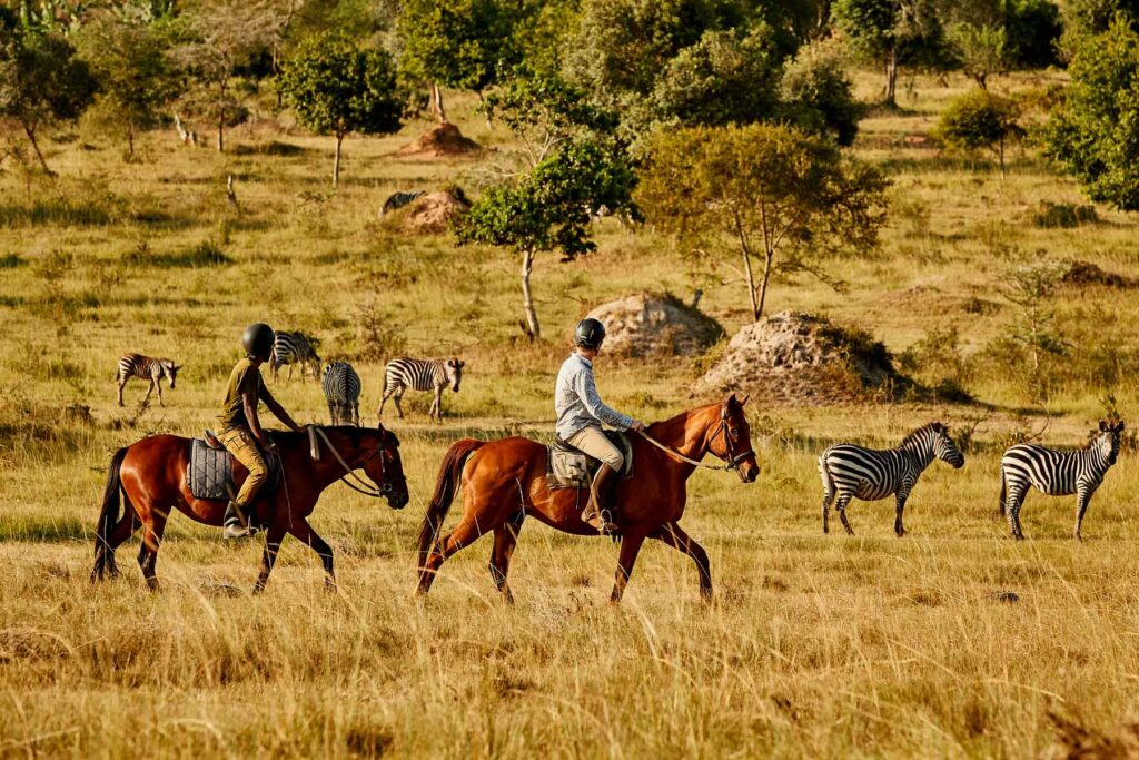 Uganda Horseback Safaris