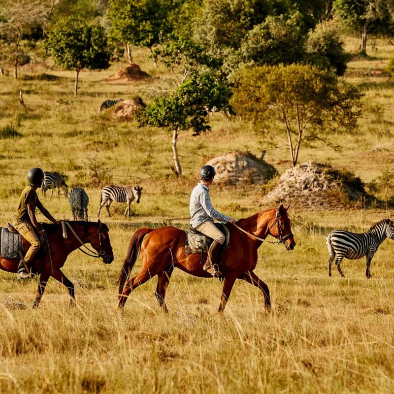 Uganda Horseback Safaris