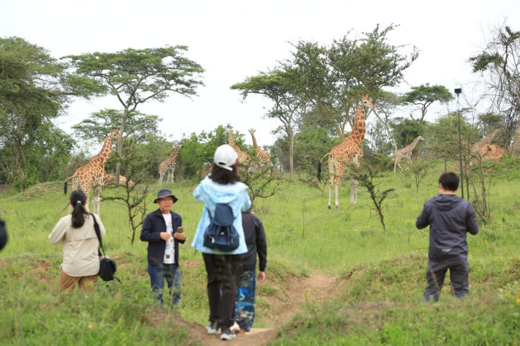Uganda Walking Safaris