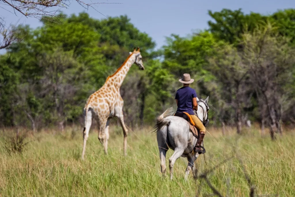 Zambia Horseback Safaris