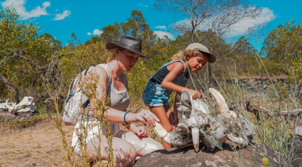 Zimbabwe Family Safaris