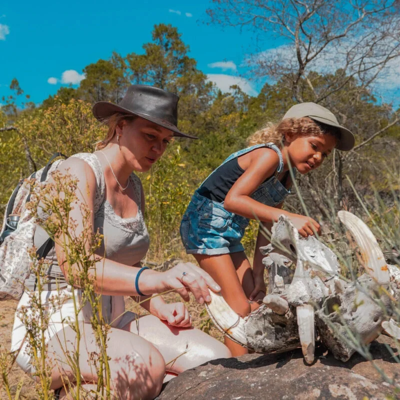 Zimbabwe Family Safaris