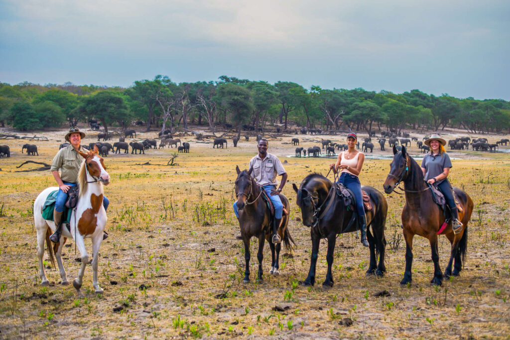 Zimbabwe Horseback Safaris