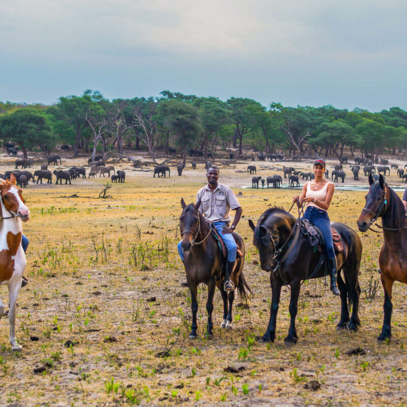 Zimbabwe Horseback Safaris