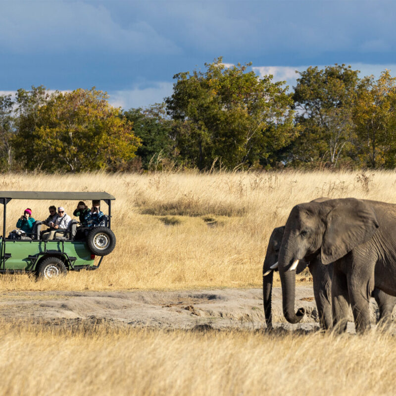 Zimbabwe Safaris